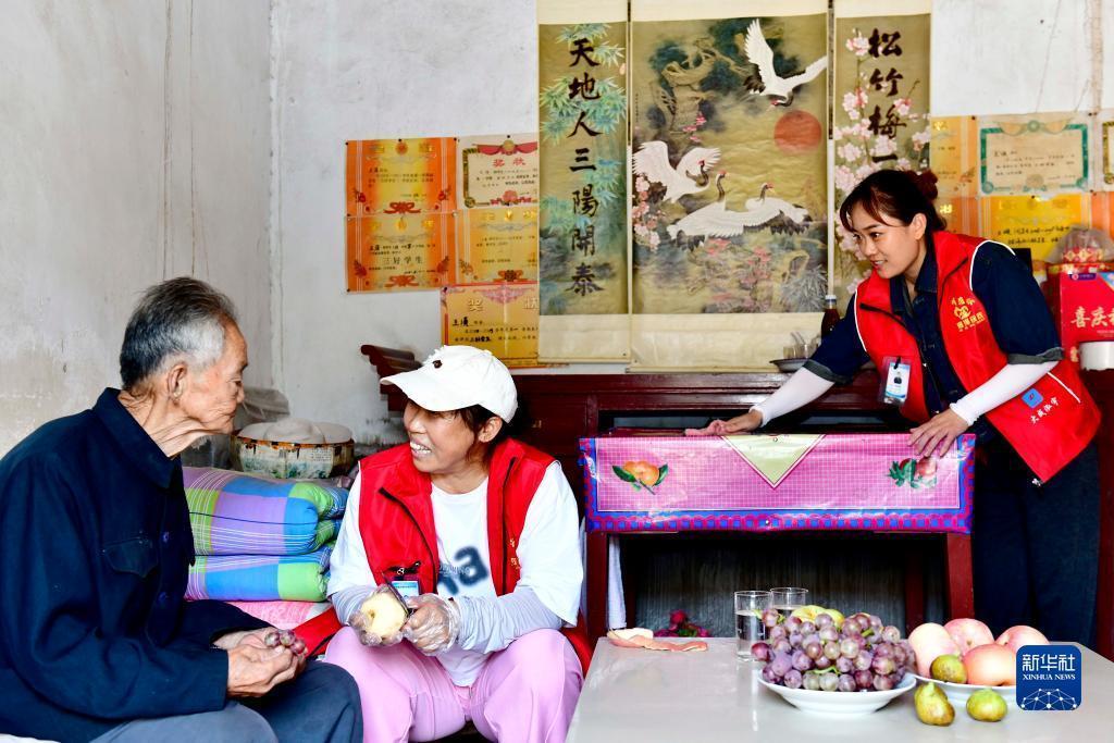 龙虎分析软件鲨鱼二代